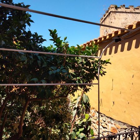Estudio Castillo Дения Екстериор снимка